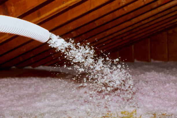 Best Best Insulation Companies  in Tornillo, TX