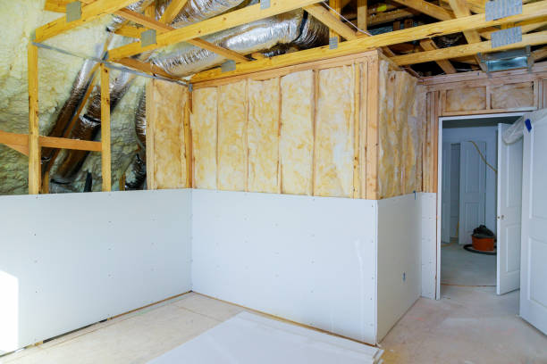 Best Insulation Removal  in Tornillo, TX