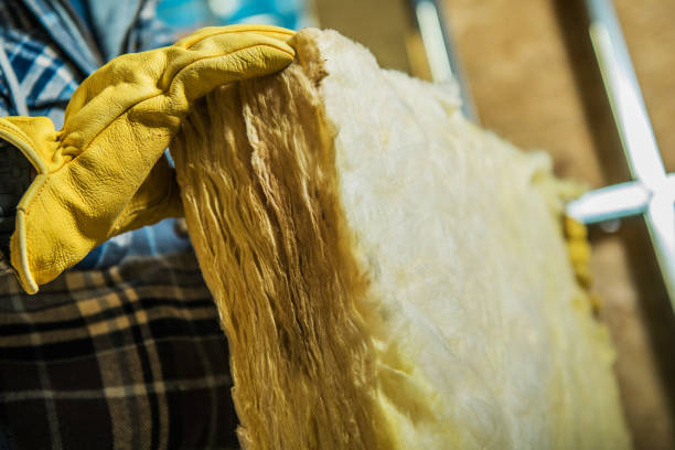Best Fiberglass Insulation  in Tornillo, TX