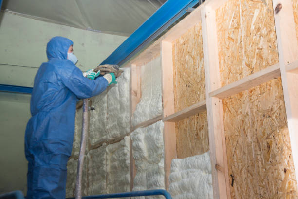 Best Spray Foam Insulation  in Tornillo, TX
